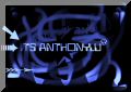 PSPA anthony.jpg
